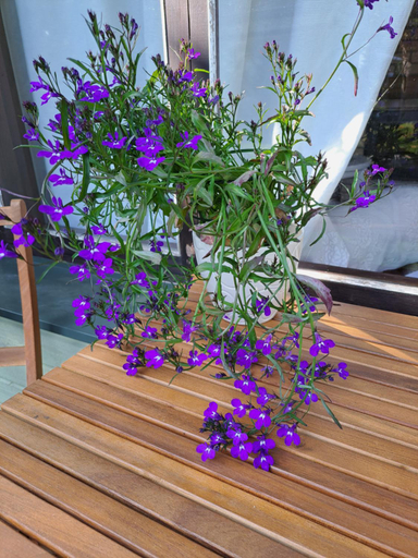Others 4, Cosy guesthouse with sauna and outdoor kitchen, Kuressaare