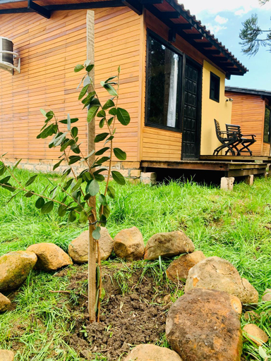 Others 4, Cabanas Flor de Goiaba, Urubici