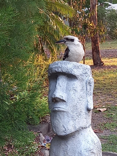 Tukawyl Retreat Landsborough, Caloundra - Rail Corridor
