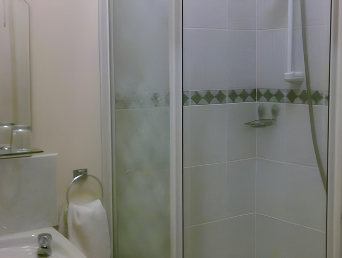 Bathroom 2, Deerpark Manor Bed & Breakfast