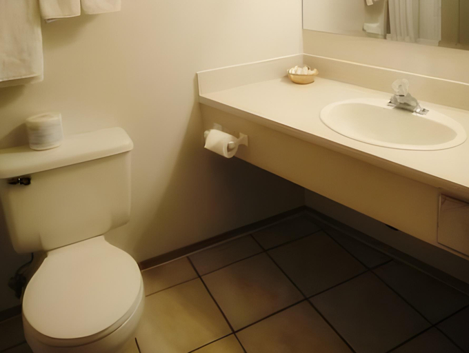 Bathroom 3, Chalet Continental Motel, Fraser-Fort George