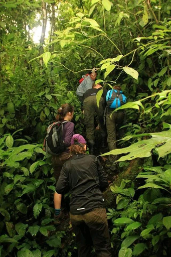 Exterior & Views 3, Thousand hills ketambe ,room and treking, Southeast Aceh