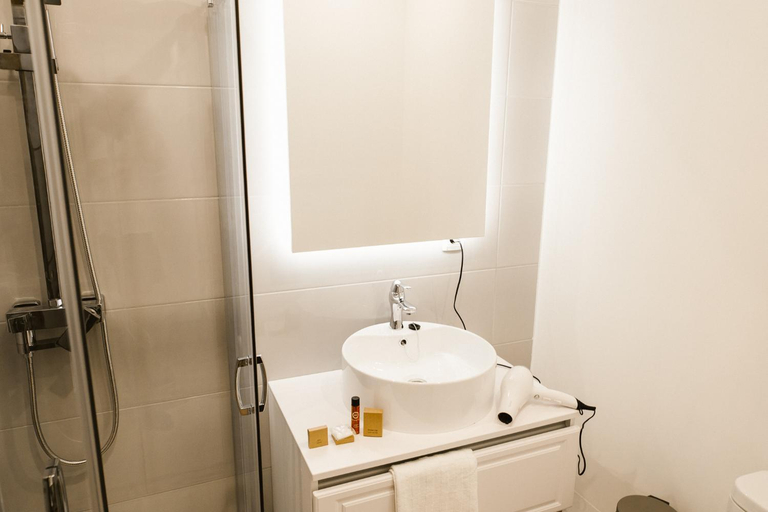 Bathroom 4, Pensiunea David, Targu Mures