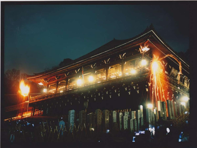 Exterior & Views 1, New Wakasa Annex Hotel, Nara