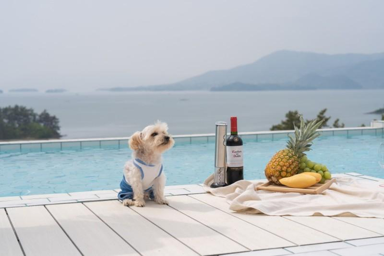 2, Sacheon Shushu Dog Pension, Sacheon