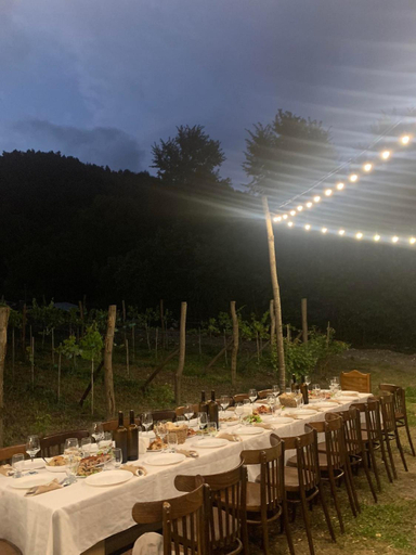 Food & Drinks 3, Korenishuli Veranda Wine Hotel 45 km from Tsageri, Tsageri
