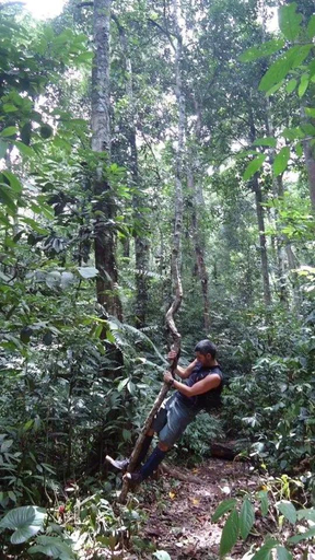 Exterior & Views 2, Thousand hills ketambe ,room and treking, Southeast Aceh