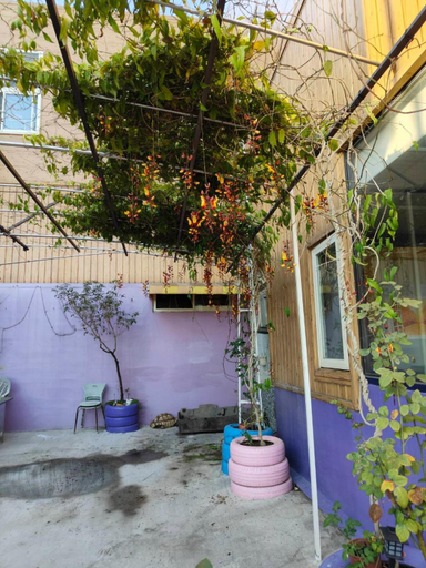 Others 5, Xinyuanbao Shangshi Homestay, Pingtung