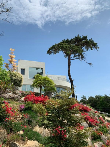2, Goheung Hangru House Pension, Goheung