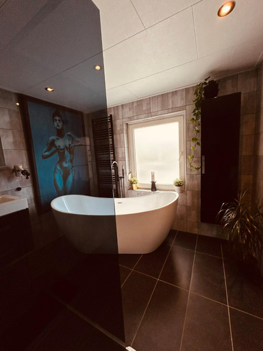 Bathroom 3, B&B Prachtig Allemachtig, Valkenburg aan de Geul