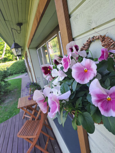 Others 2, Cosy guesthouse with sauna and outdoor kitchen, Kuressaare