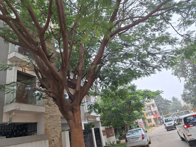 Others 4, Green Valley Suites, Bangalore