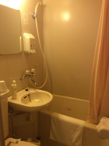 Bathroom 3, Hotel Togane Hills, Tōgane