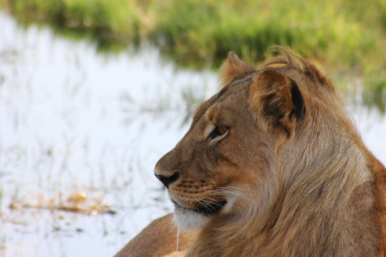 Others 5, Gwango Heritage Resort, Hwange