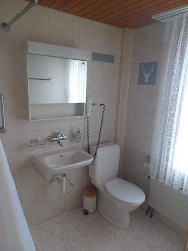 Bathroom 2, Hotel Tell, Uri