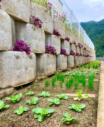 2, Chungju Stay Palbong, Chungju