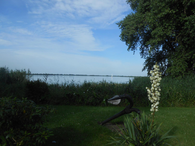 Scenery 3