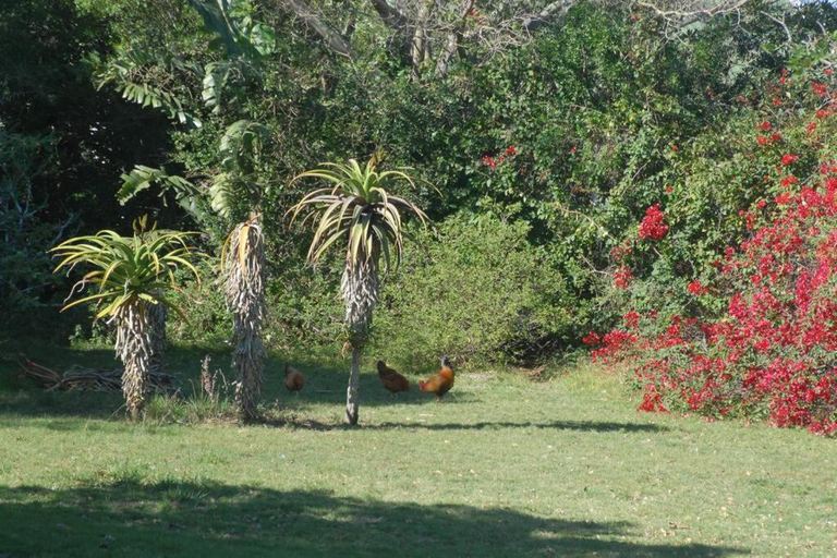 Others 3, The Homestead - Simple Farm-Style Accommodation, Cacadu