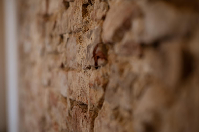 Others 4, Palazzo Campia, Asti