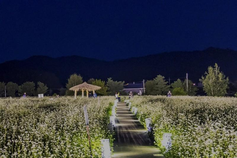 Others 5, Pyeongchang Tyrol Pension, Pyeongchang