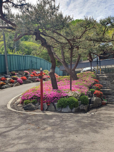 Others 5, Gwangju Konjiam Jasmine, Gwangju