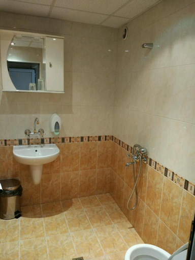 Bathroom 4, Family Hotel Kartala, Blagoevgrad
