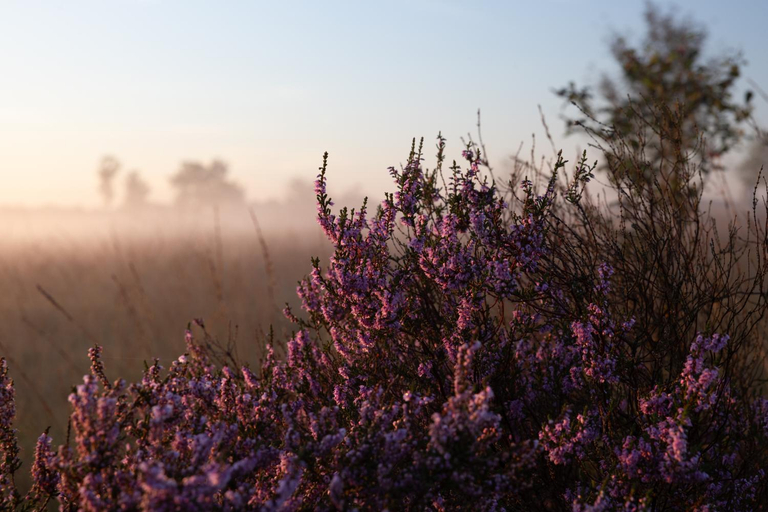 Others 2, Slapen bij de Brug, Midden-Drenthe