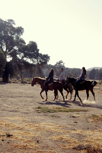 Others 5, Rancho Santa Veronica, Tecate