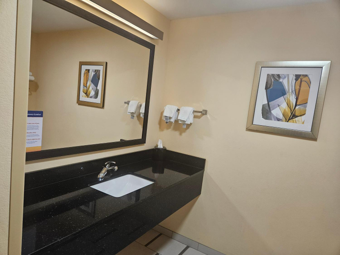 Bathroom 4, Comfort Inn & Suites Ankeny - Des Moines, Polk