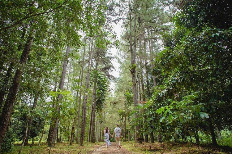 Exterior & Views 5, Kebun Rimba Janda Baik, Bentong