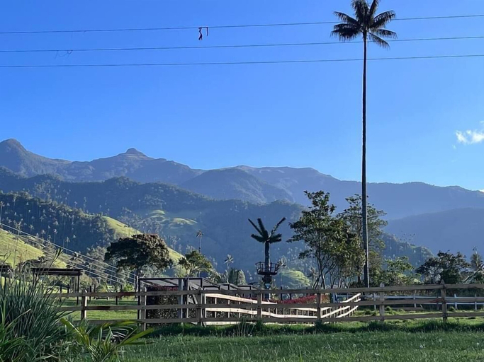 Others 4, Bosques de Cocora Donde Juan B, Salento