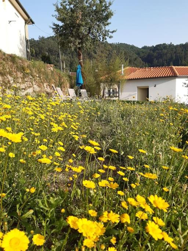 Others 4, A CASA COM 2 PEREIRAS, Terras de Bouro
