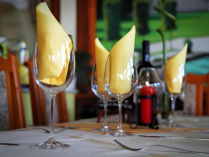 Food & Drinks 3, Bajor Panzio Buk-Bukfurdo, Adults Friendly 12 Plus, Csepreg
