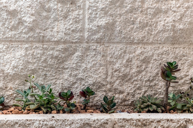 Others 4, In centro da Viola - Eco Design Rooms, Olbia-Tempio