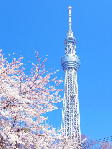 Others 3, Peace Inn Skytree Tokyo, Sumida