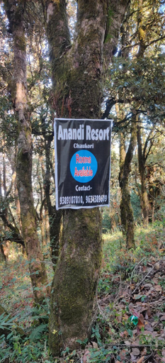 Others 3, Anandi resort, Pithoragarh
