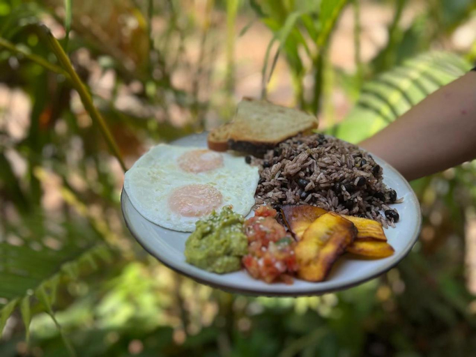 Food & Drinks 5, Dream Surf House Santa Teresa (Playa Hermosa), Puntarenas