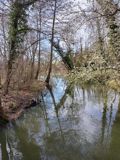 Others 5, Les Mulotieres, Loiret