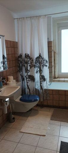 Bathroom 2, NTN HOUSE, Sankt Gallen