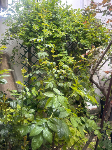 Others 4, All Room Paris Ouest Colombes, Hauts-de-Seine