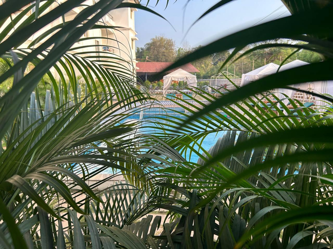 Others 4, Dacha Resort Arambol, North Goa