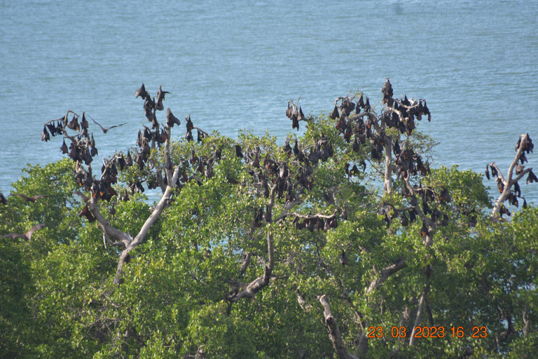 Others 3, Del Mar Home Stay Riung, Ngada