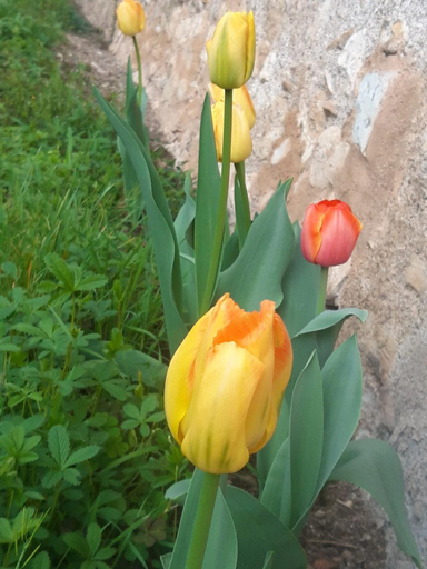 Others 2, Corte Martinola bed&breakfast in Franciacorta, Brescia