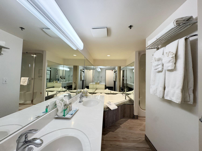 Bathroom 4, Divya Sutra Plaza and Conference Centre Calgary Airport, Division No. 6