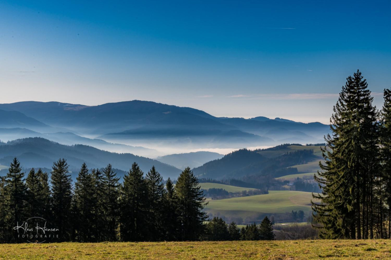 Others 2, Ferienwohnung Auch am Berg, Todtnauberg, Feldberg, Lörrach