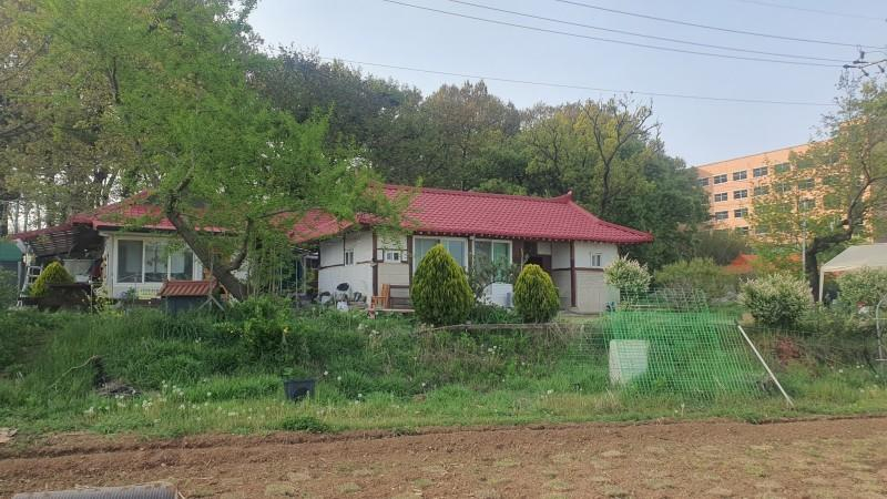 3, Ganghwado So Tree Farm Pension, Ganghwa
