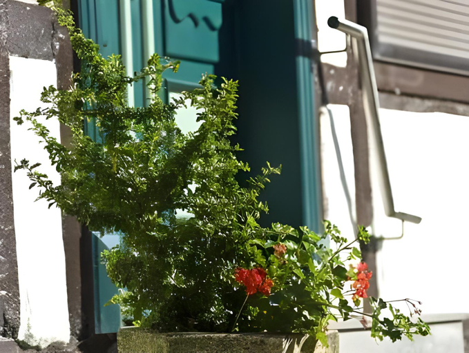 Exterior & Views 1, Pension Karina Schwerin, Schwerin