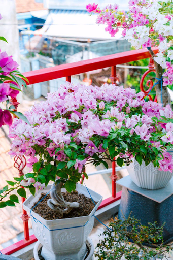Others 5, Ruby Homestay Phu Yen, Tuy Hoa