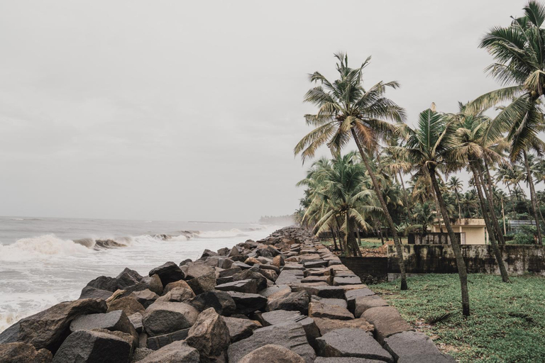 Others 4, Swasthigriha's Beach Homestay, Cherai, Ernakulam