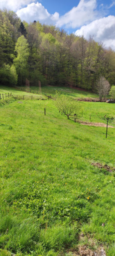 Others 4, O2J, Haute-Saône